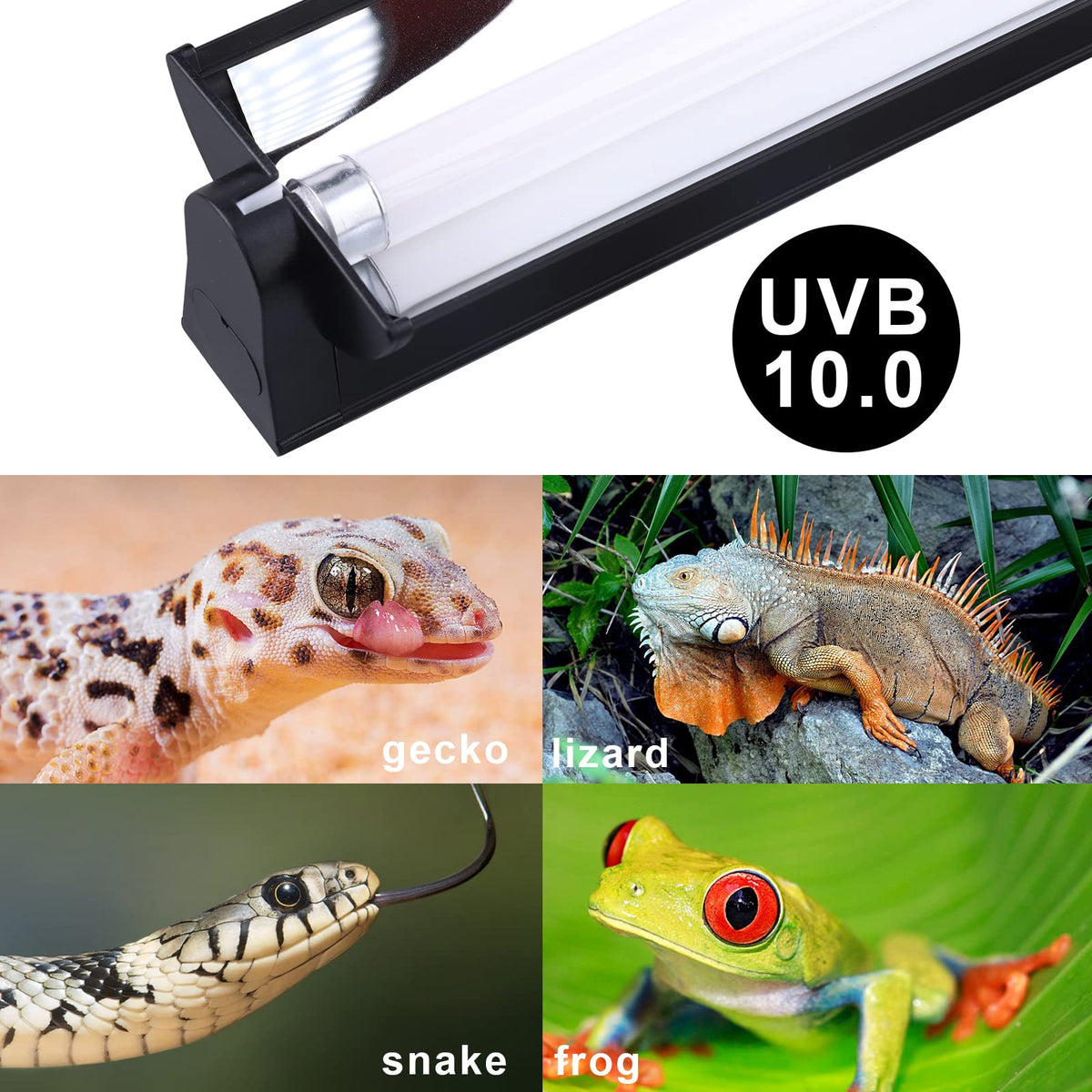 Reptile Heat Pad and UVB Light L2472