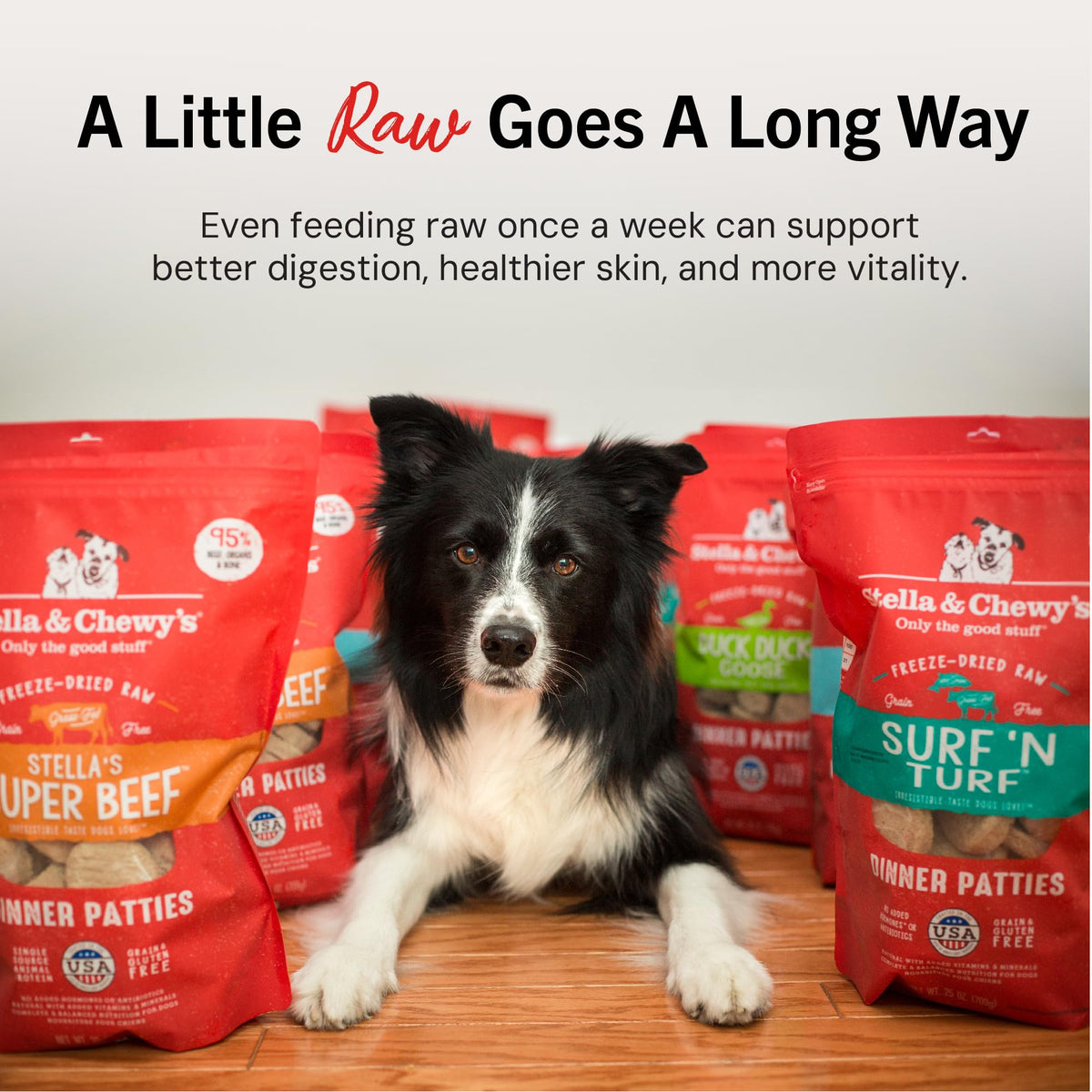 Freeze-Dried Raw Beef Grain-Free Dog Food 25 oz O329