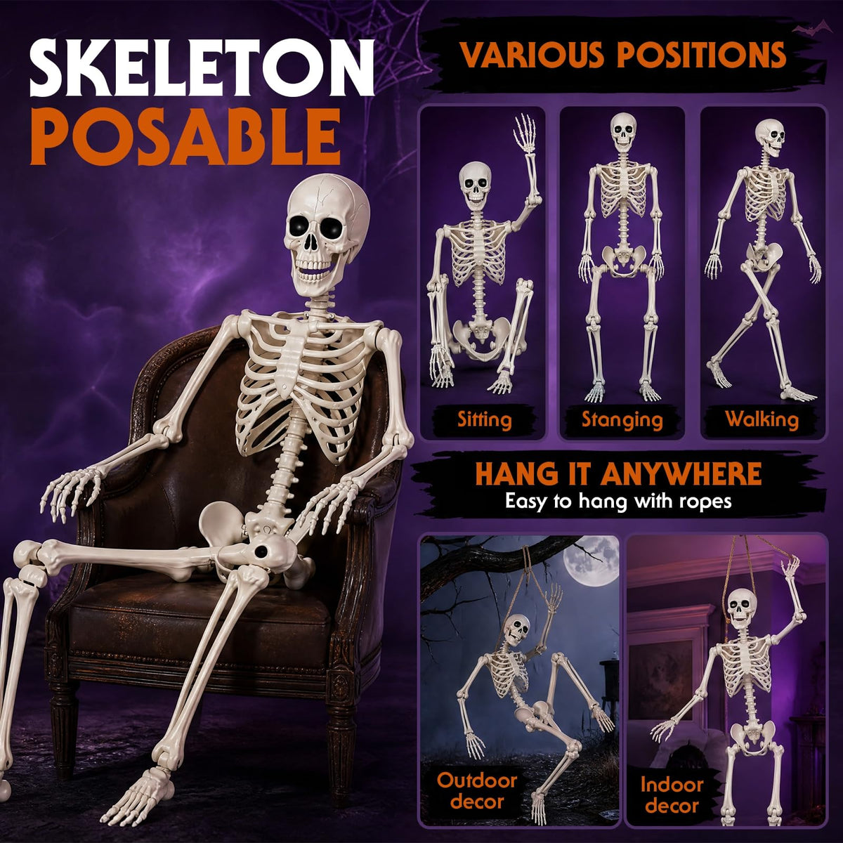 Poseable Life Size Skeleton G1647