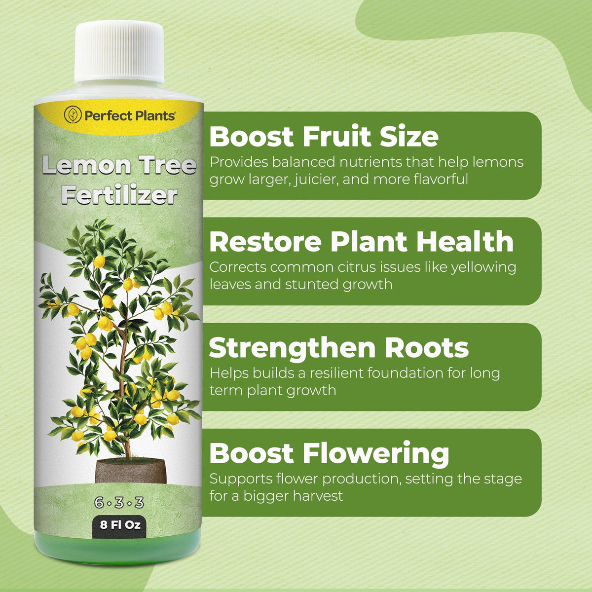 8 oz Citrus Plant Fertilizer Y834705