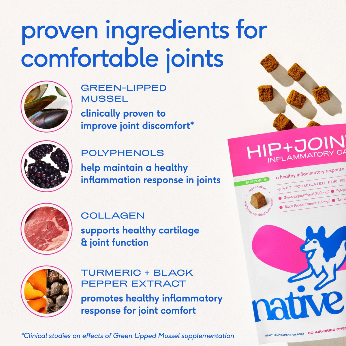 Green-Lipped Mussel Turmeric Collagen Hip and Joint Supplement for Dogs 120 Chews F593376