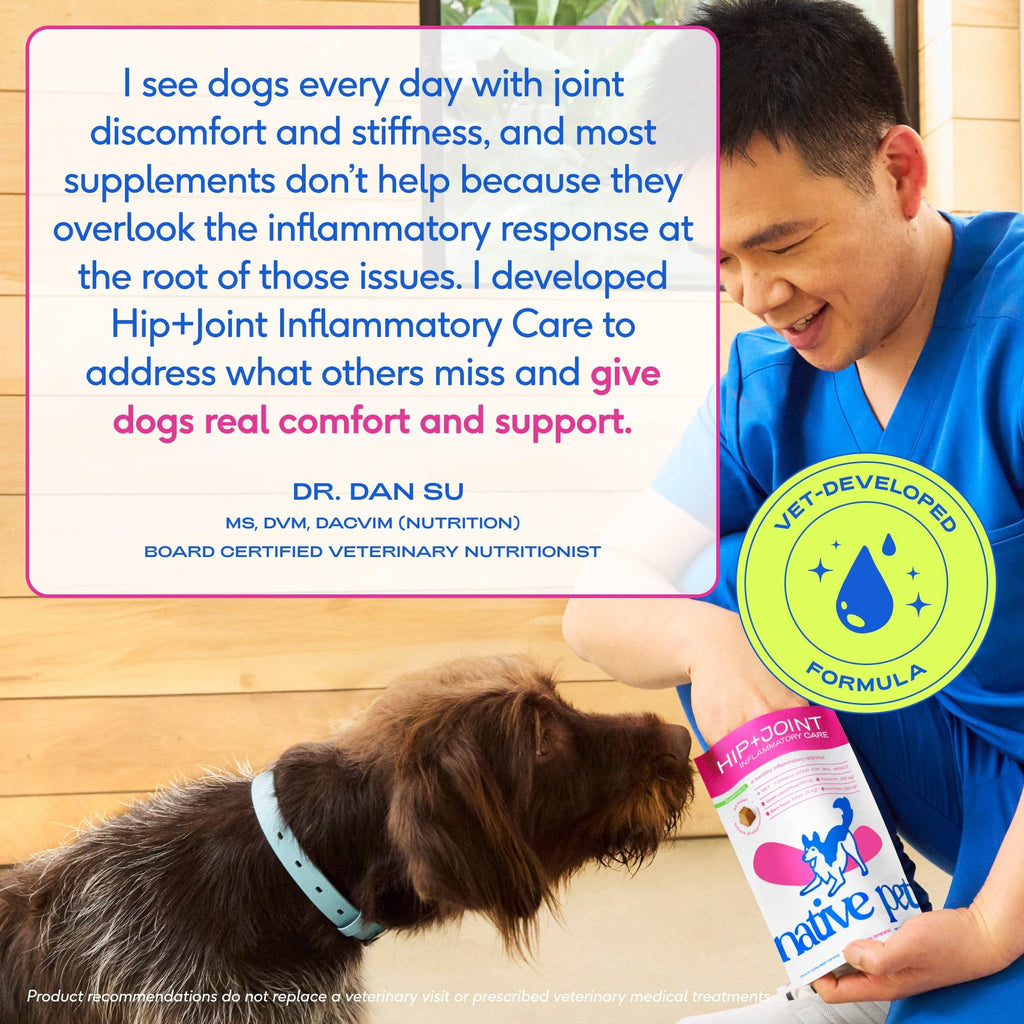 Green-Lipped Mussel Turmeric Collagen Hip and Joint Supplement for Dogs 120 Chews F593376