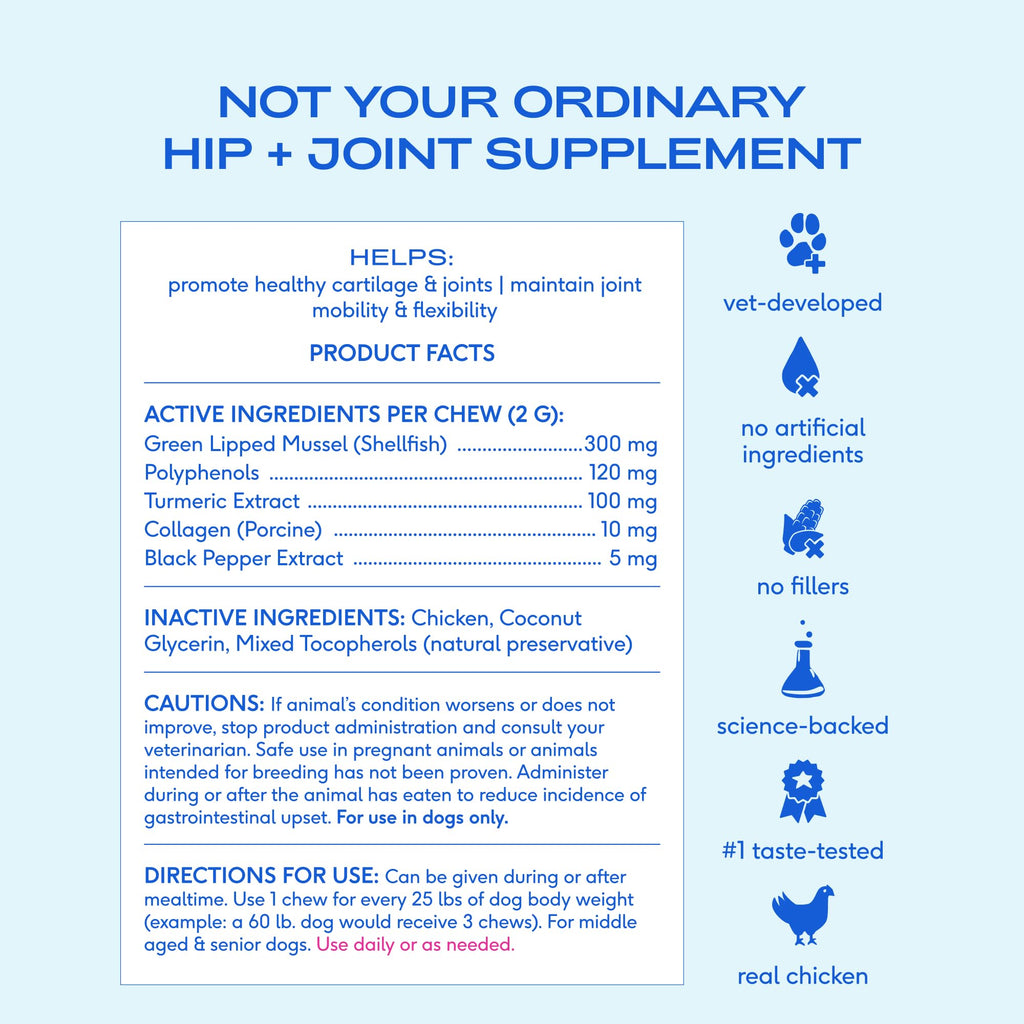 Green-Lipped Mussel Turmeric Collagen Hip and Joint Supplement for Dogs 120 Chews F593376