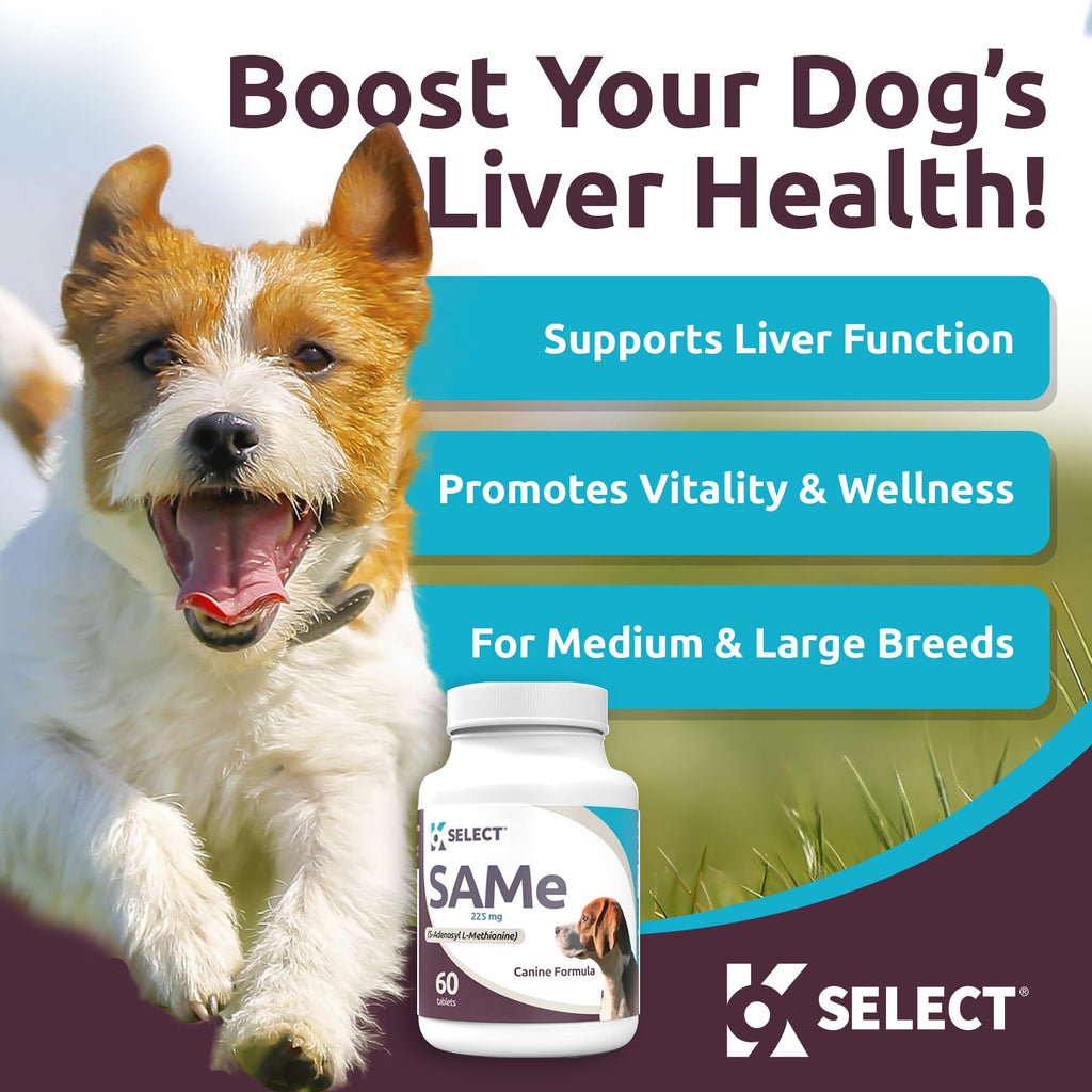Dog Liver Supplement 60 Tablet 225mg O611
