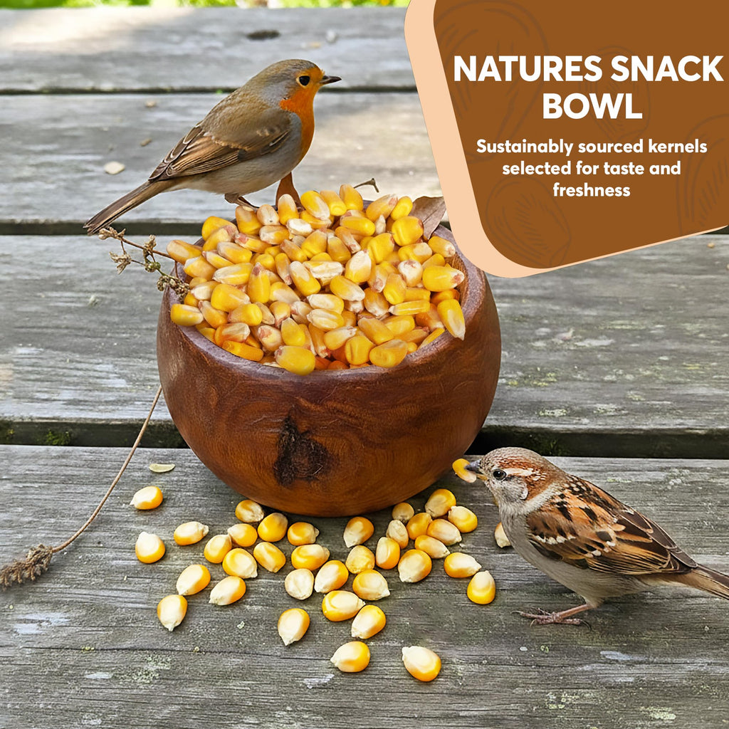 Whole Corn 20 LB Bird Seed & Wildlife Feed X68343