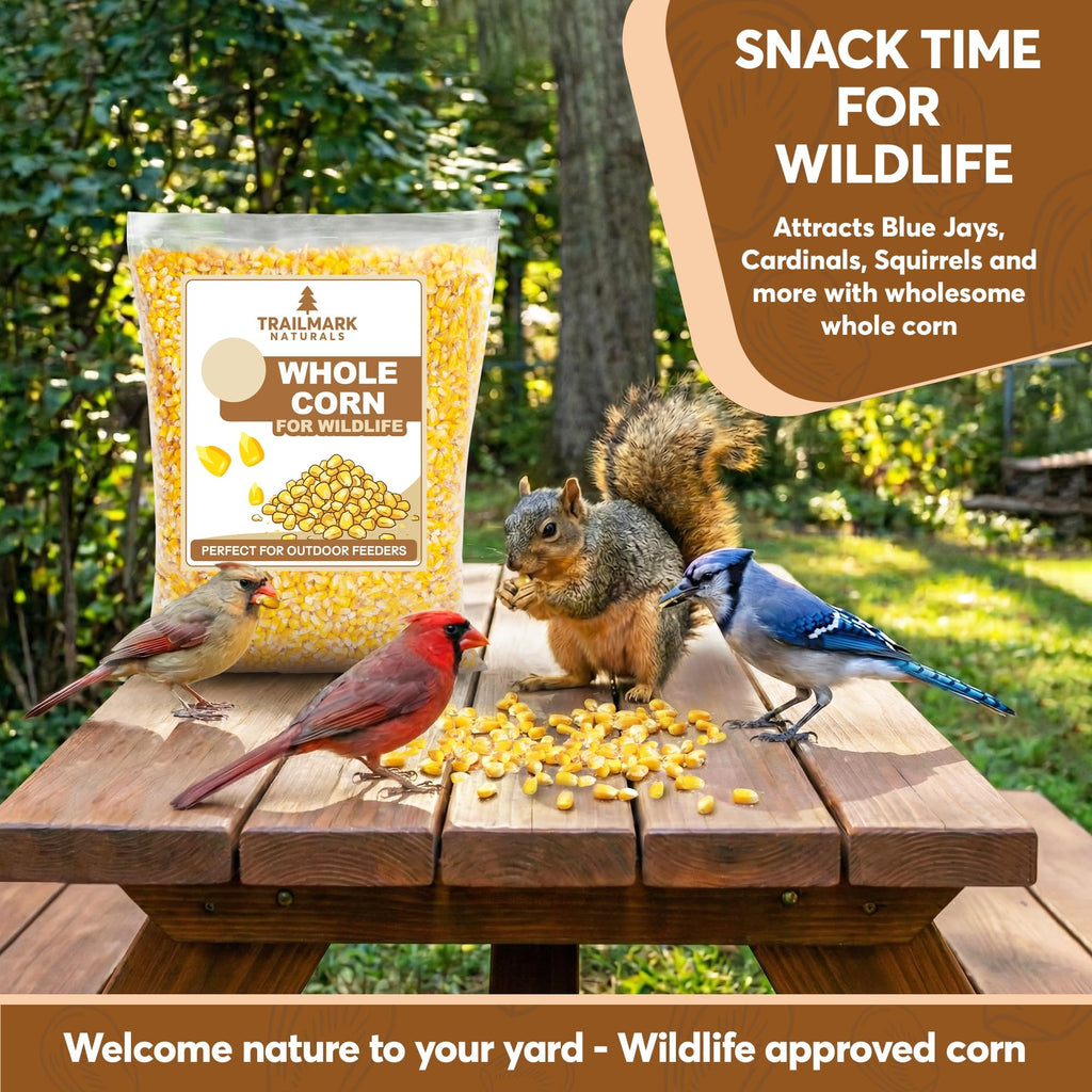 Whole Corn 20 LB Bird Seed & Wildlife Feed X68343