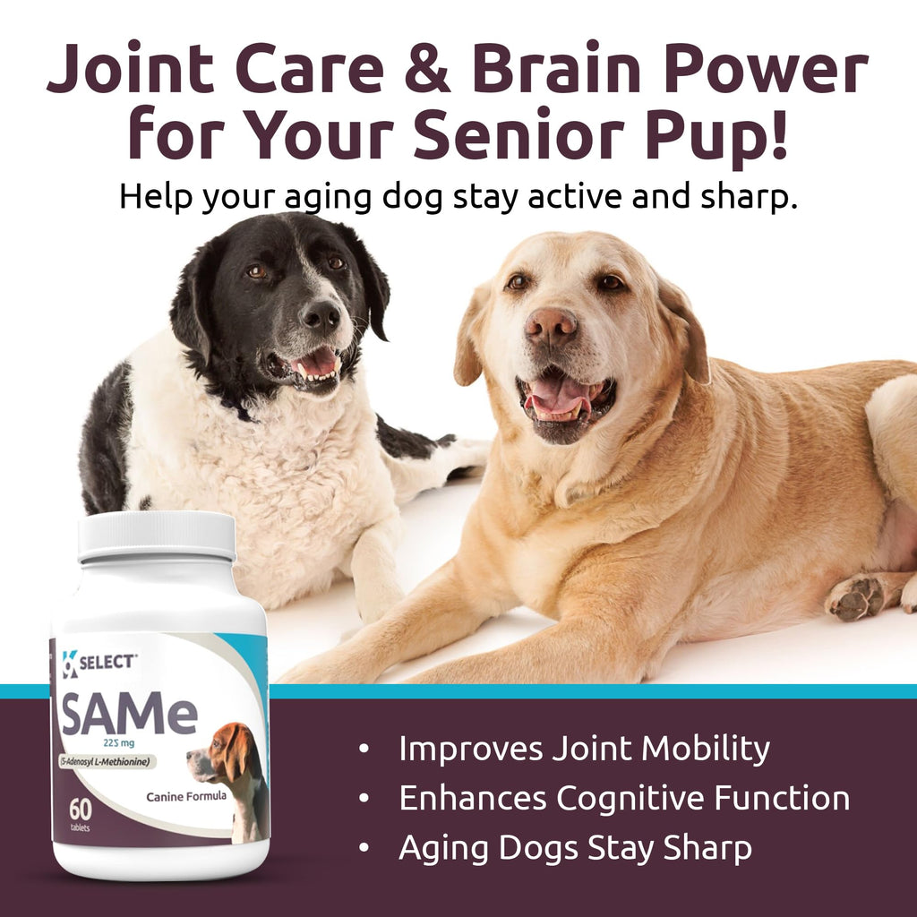 Dog Liver Supplement 60 Tablet 225mg O611