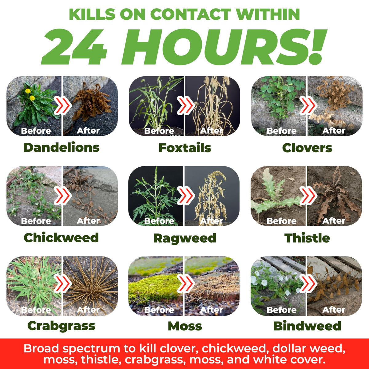 Organic Vinegar Weed Killer Spray Ready Herbicide 1 Gallon J8882