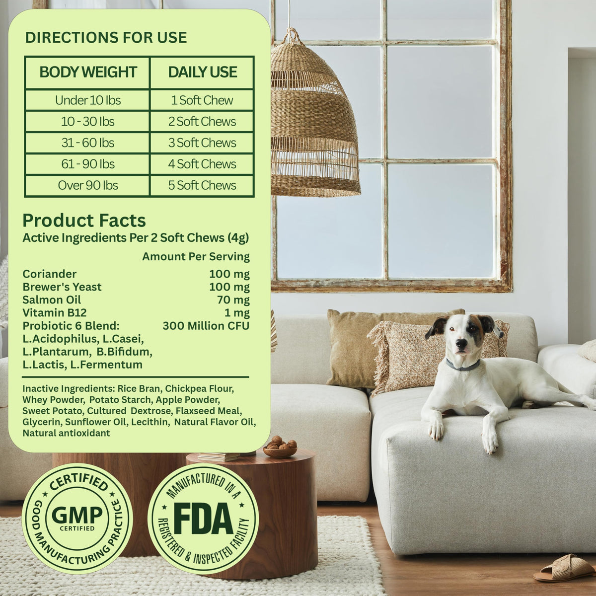 Chewable Flea and Tick Prevention for Dogs 120 Chews Beef J965